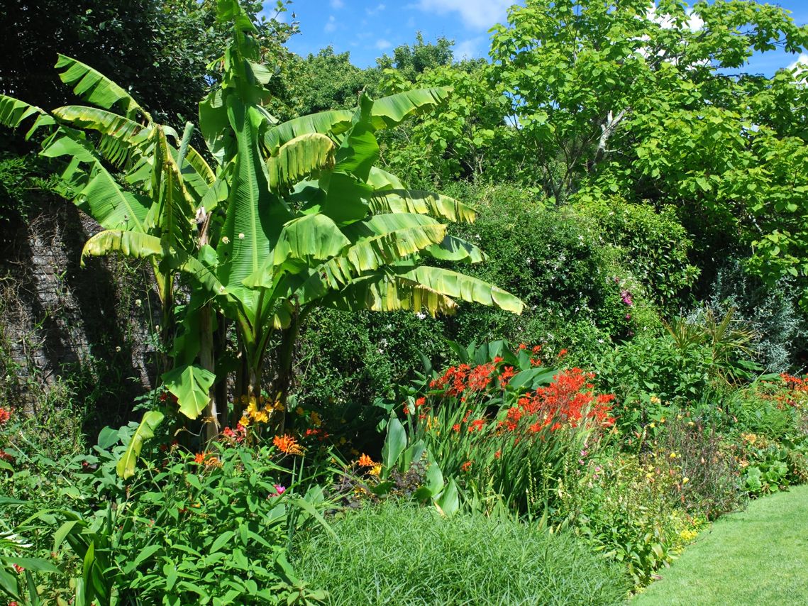 Trelissick Garden, Cornwall