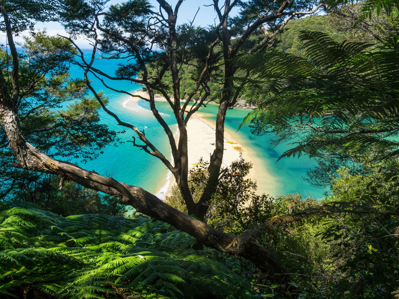 Blick auf einen Strand im Abel-Tasman-Nationalpark, Neuseeland