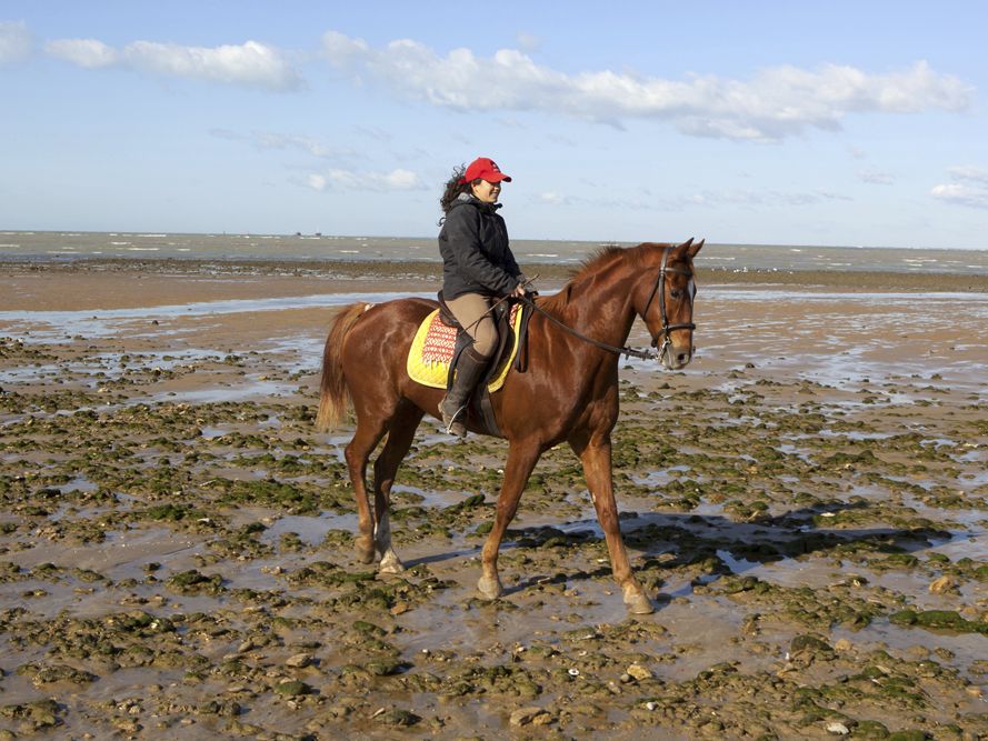 Reiten am Strand
