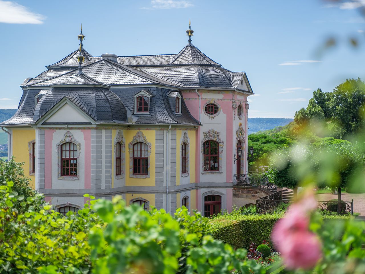 Rosen waren ein Prestigeobjekt