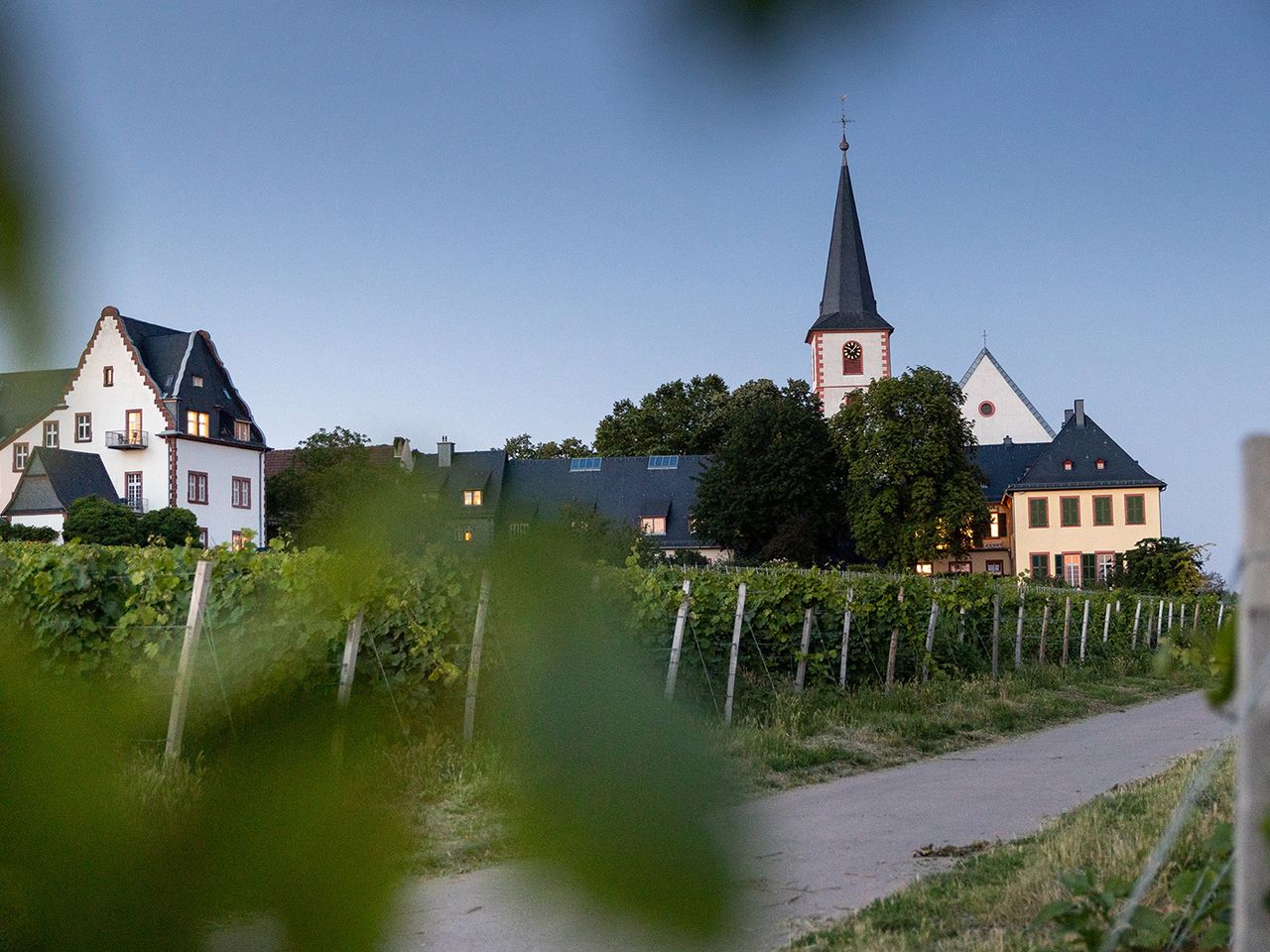 Wanderpfad im Oberen Rheingau