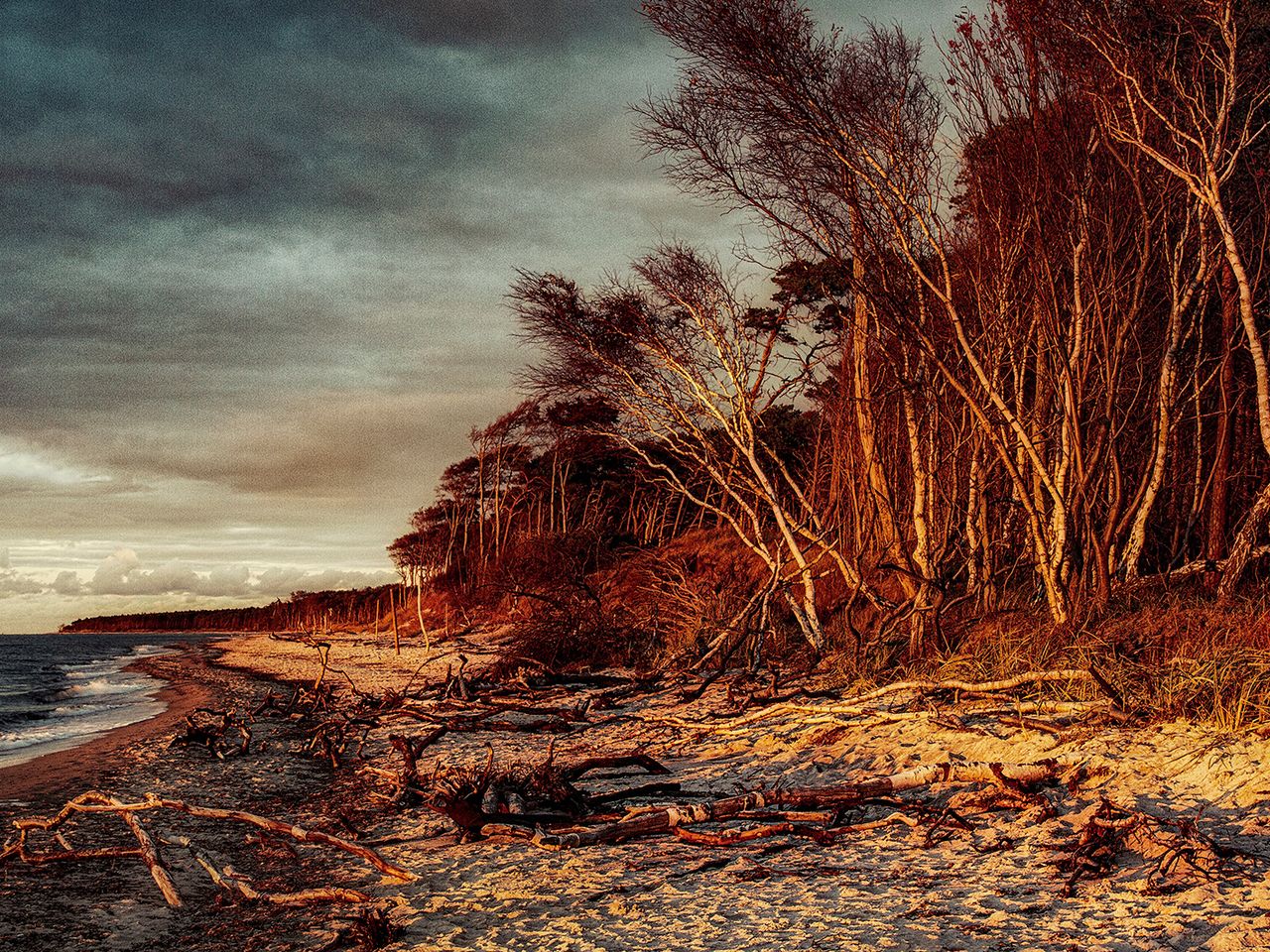 Weststrand bei Born auf dem Darß