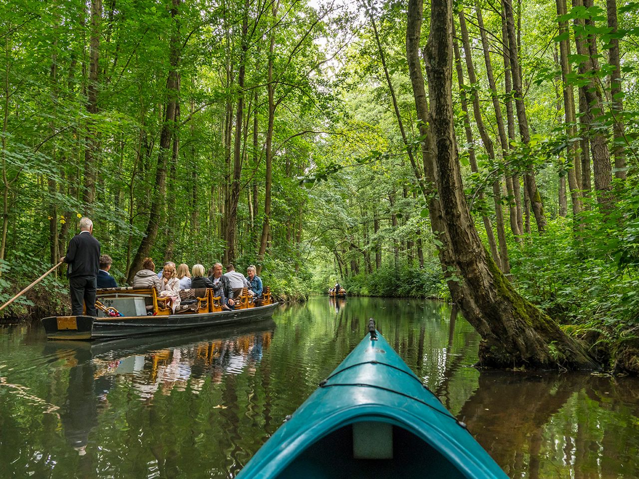 Spreewald: Mit dem Paddelboot im Hochwald auf dem Nordfließ.