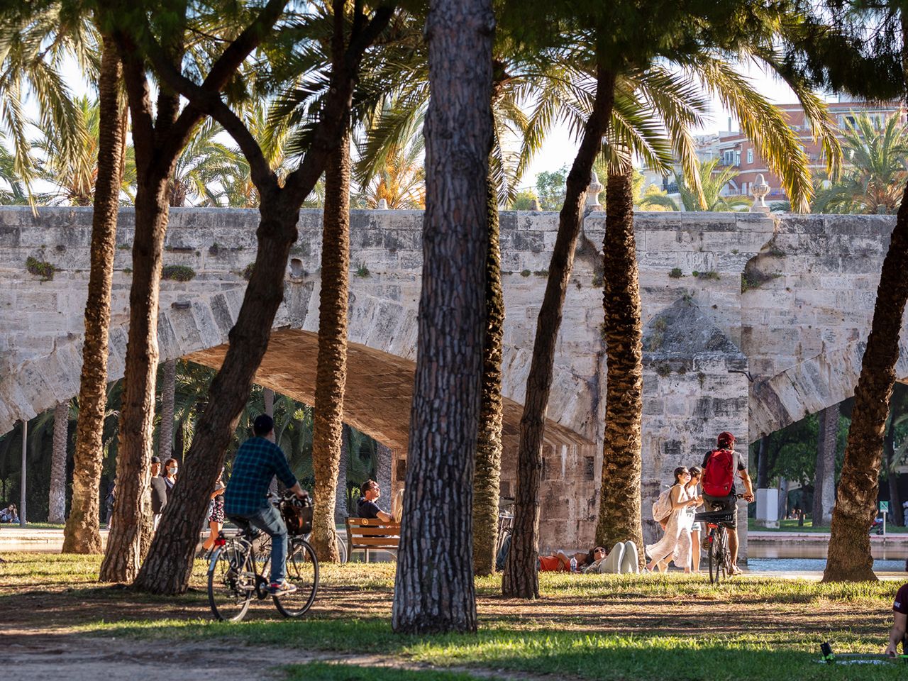 Menschen sitzen unter Palmen im Turia Park von Valencia