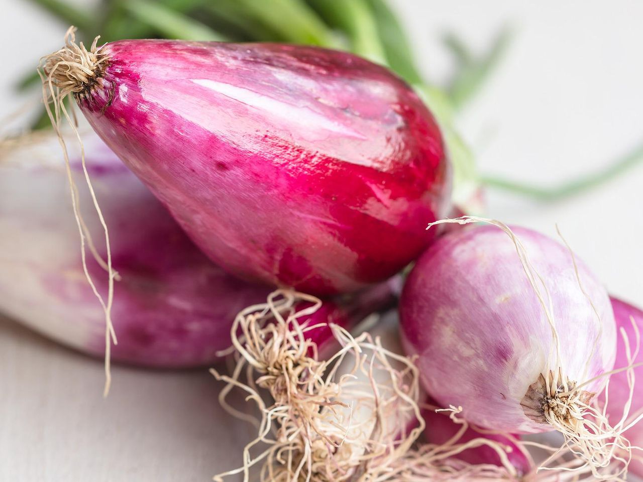 Italien Tropea Zwiebel