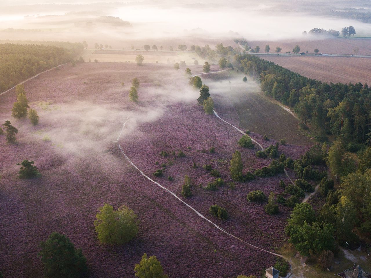 Lüneburger Heide, Heidschnuckenweg