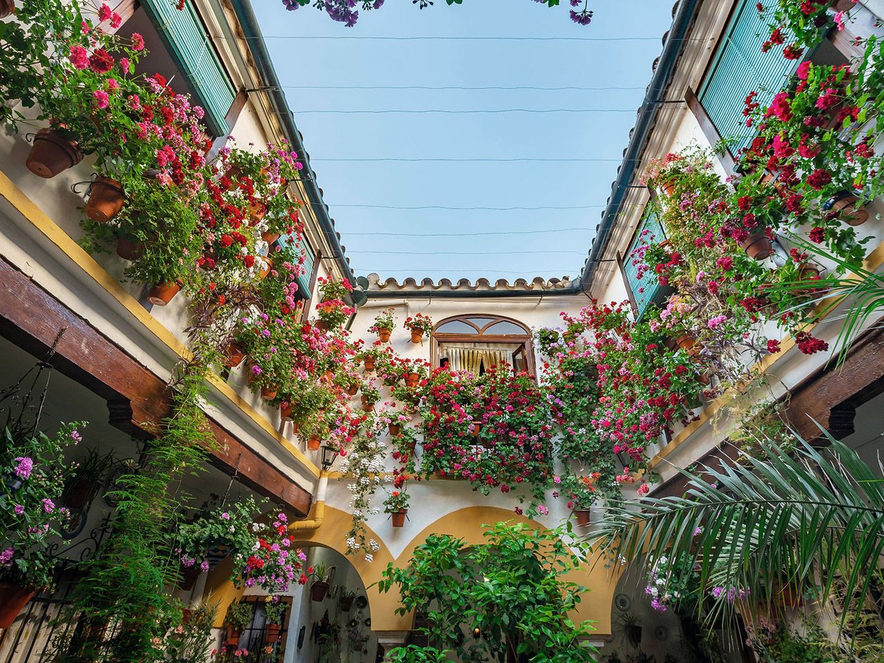 Patio in Córdoba