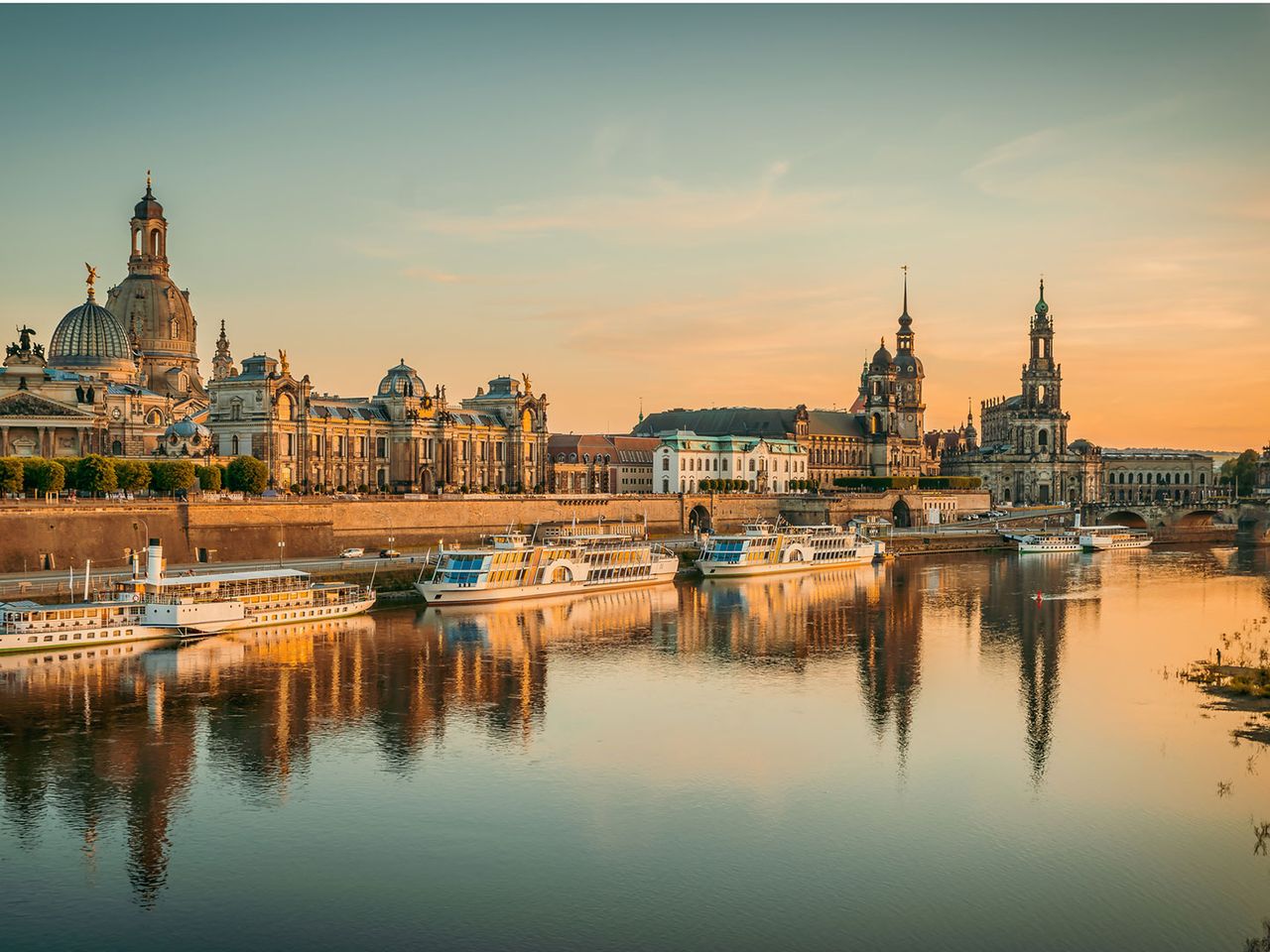 Elbufer in Dresden