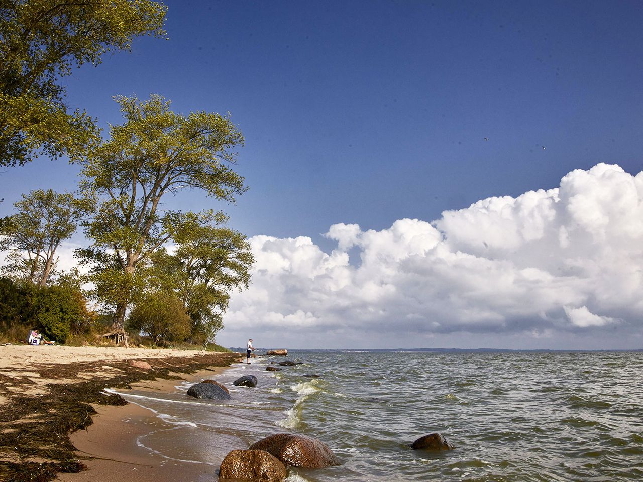 Gelbes Ufer auf Rügen