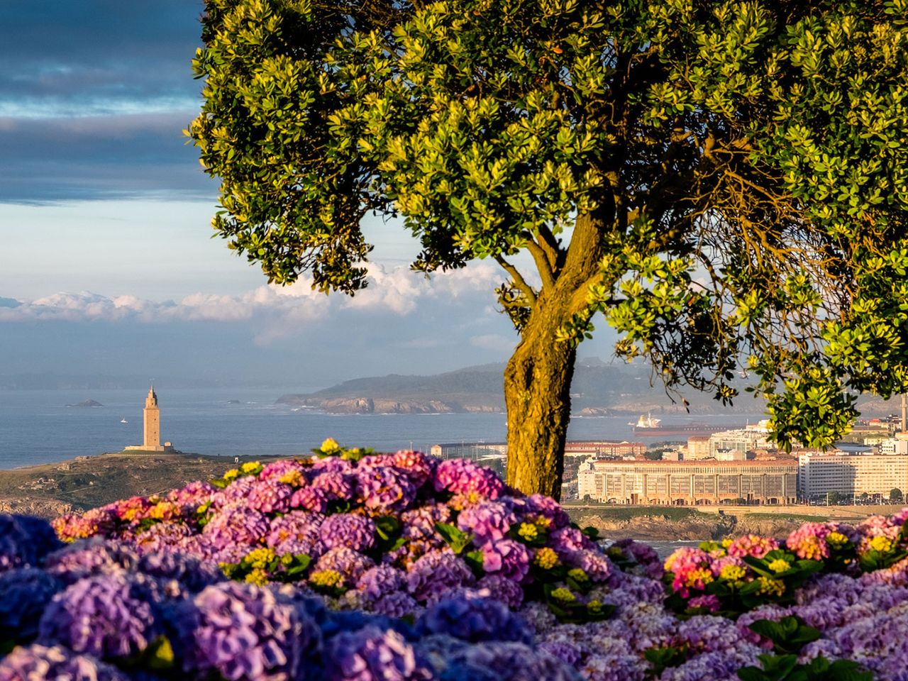 A Coruña in Galizien, Spanien, Blick auf den Turm des Herkules