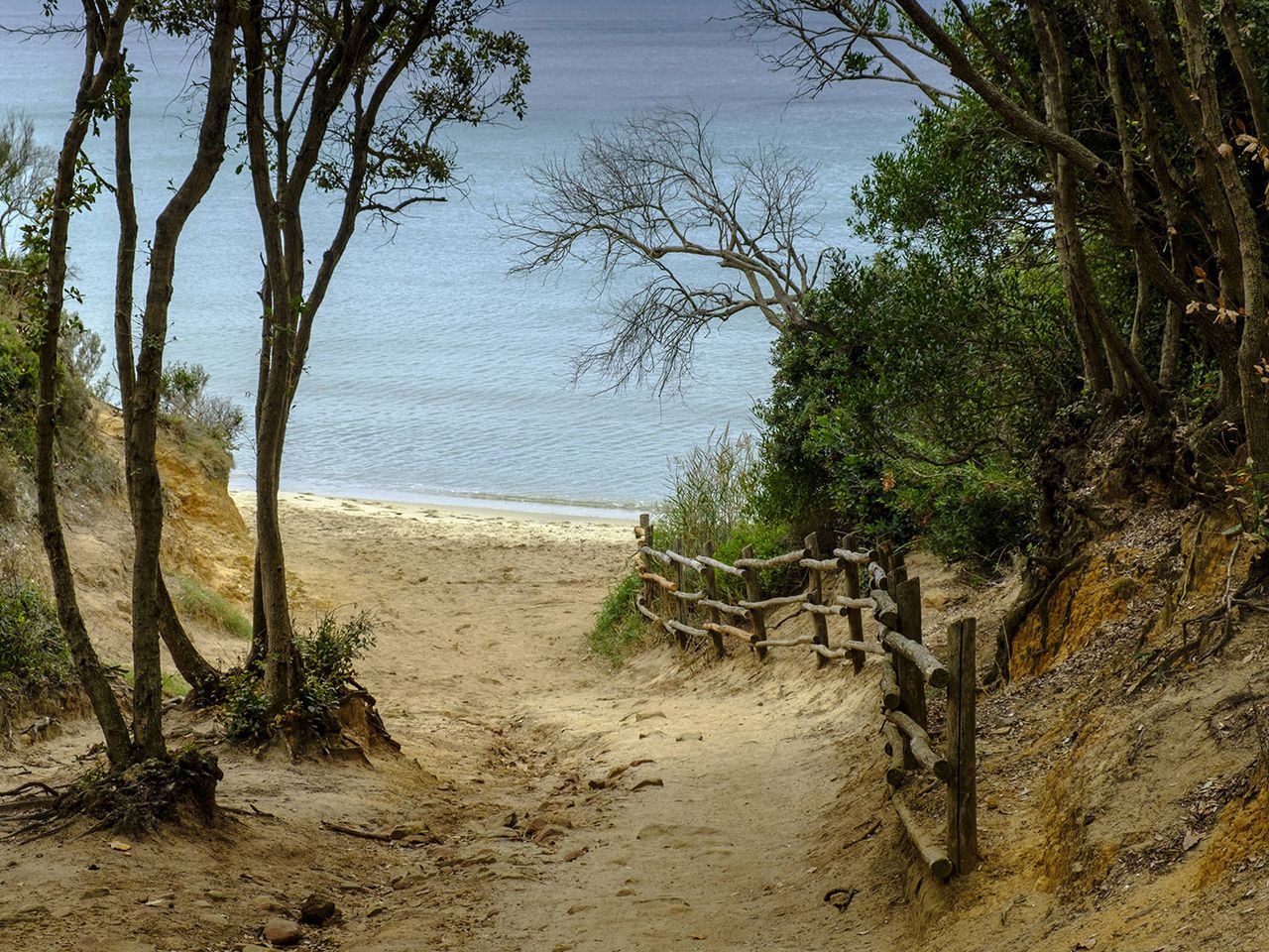 Waldabschnitt, Weg zum Strand, Pineta del Tombolo