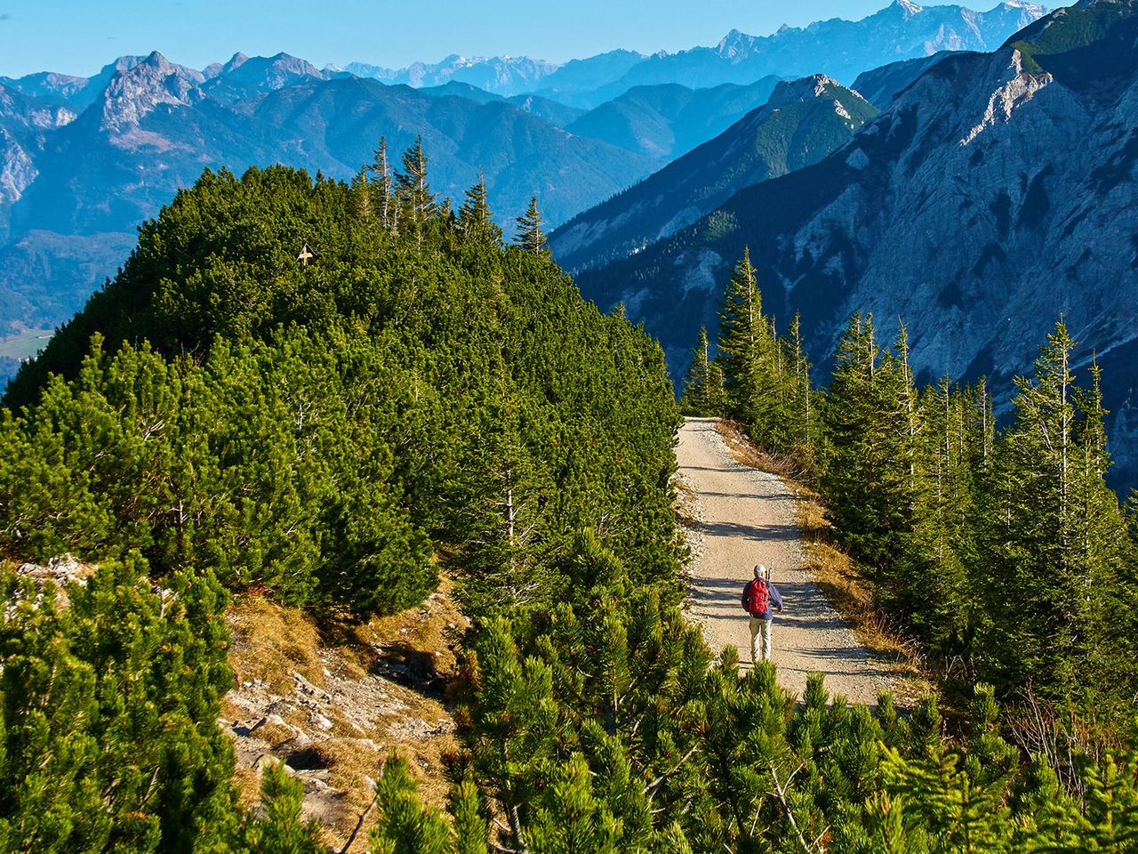 Wandernder auf dem Breitenberg in Pfronten