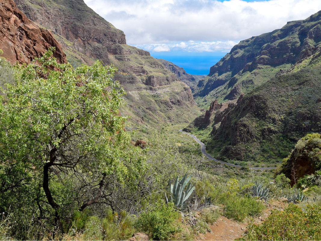 Das grüne Tal von Barranco de Guayadeque