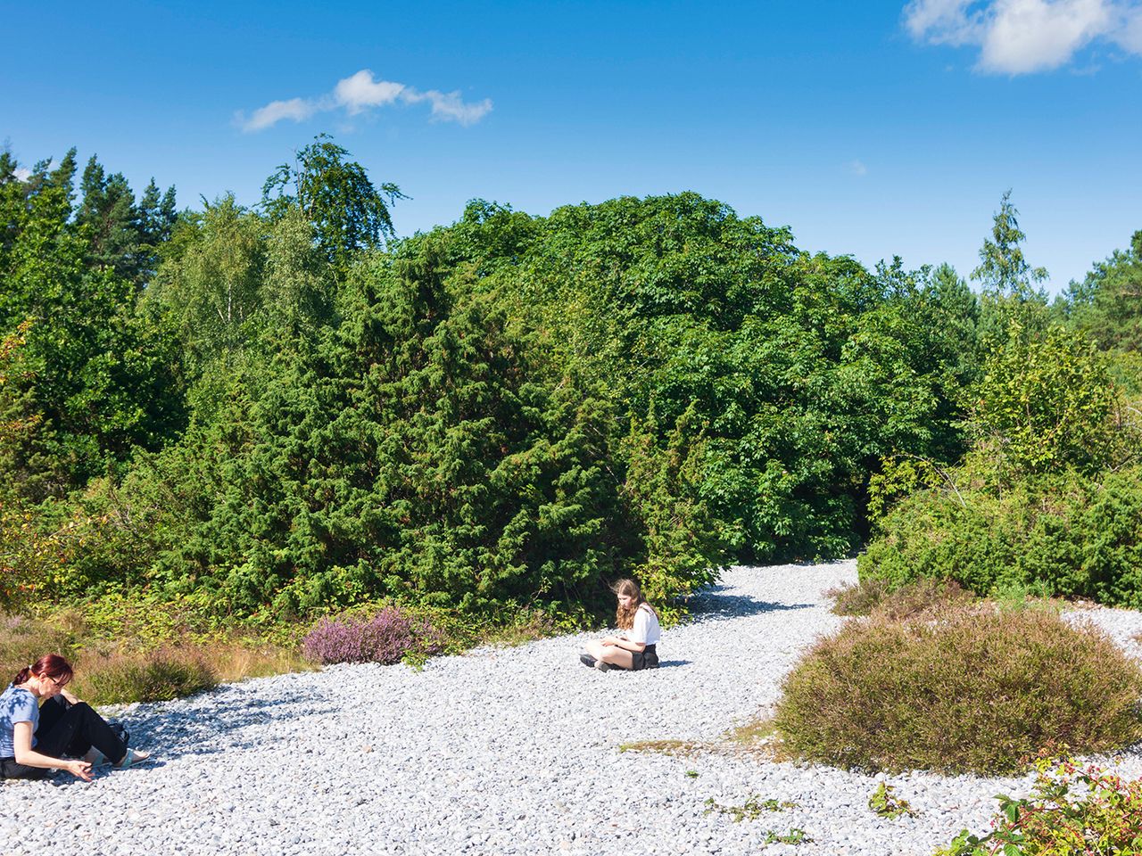 Weite Felder aus Feuersteinen säumen die Schmale Heide auf Rügen