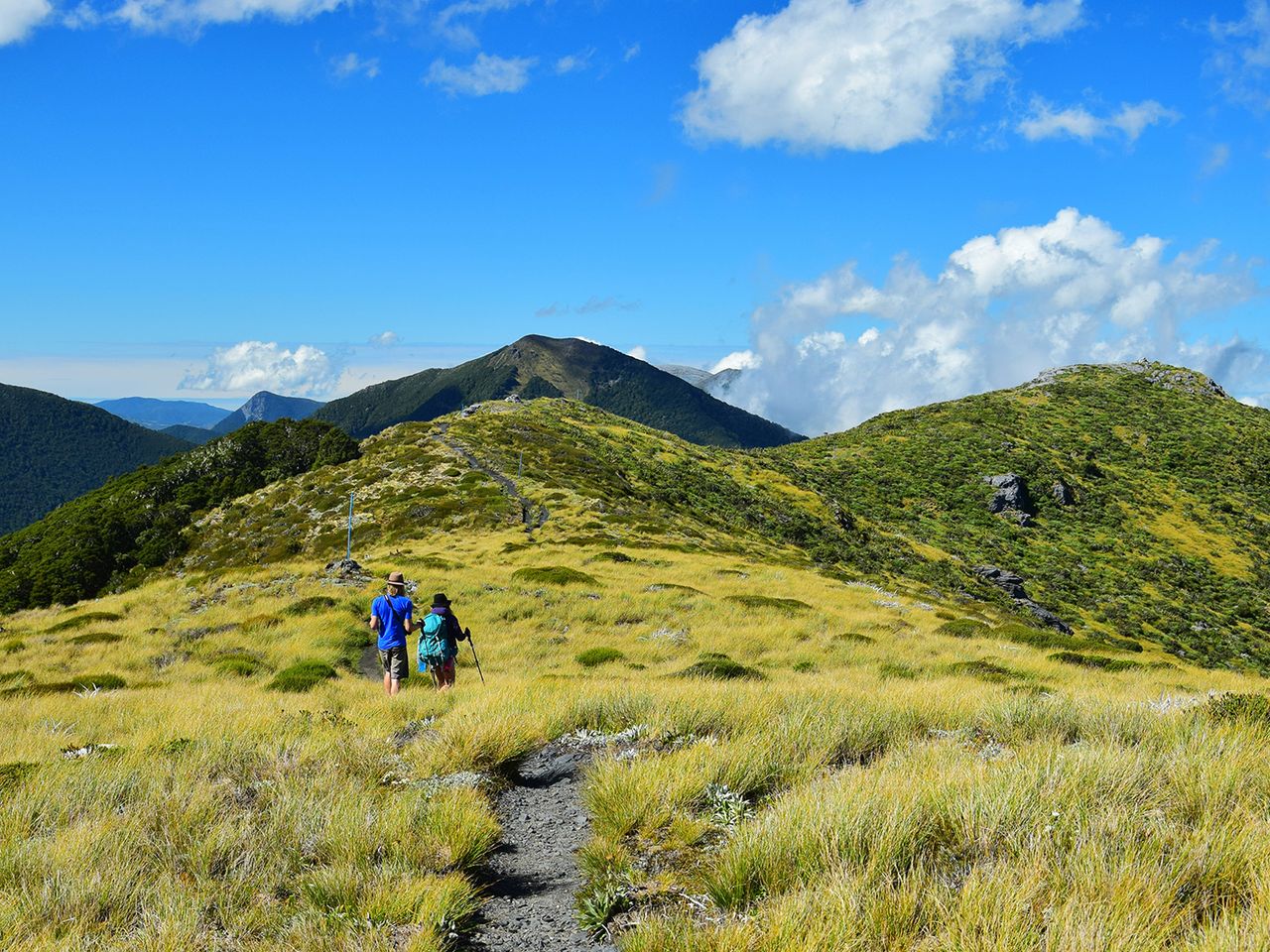 Kahurangi Nationalpark, Neuseeland