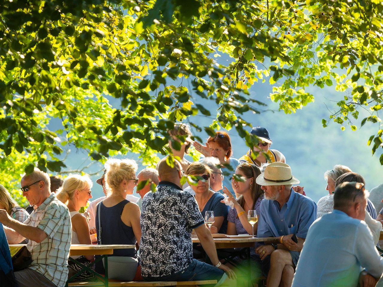 Elbhangfest Dresden Loschwitz