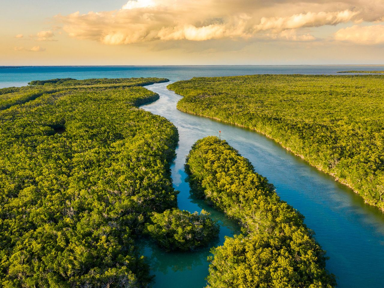Blick von oben auf die Everglades in Florida