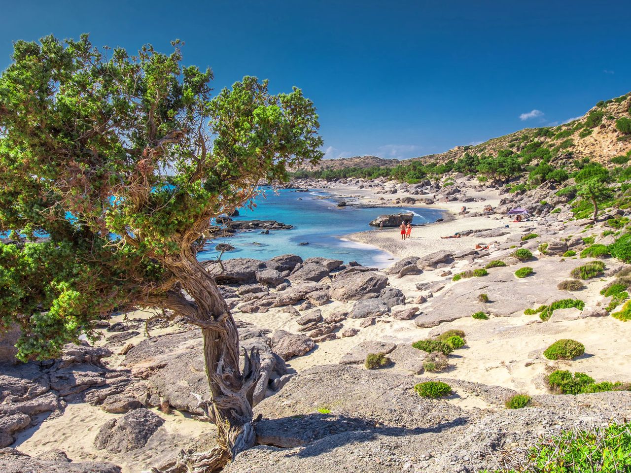 Kedrodasos Beach, Kreta