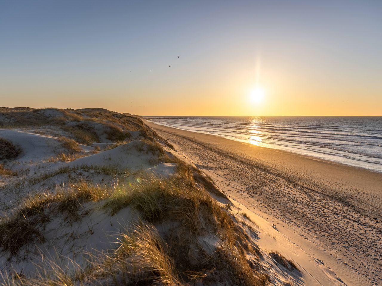 Weiße Düne auf Norderney, Ostfriesland