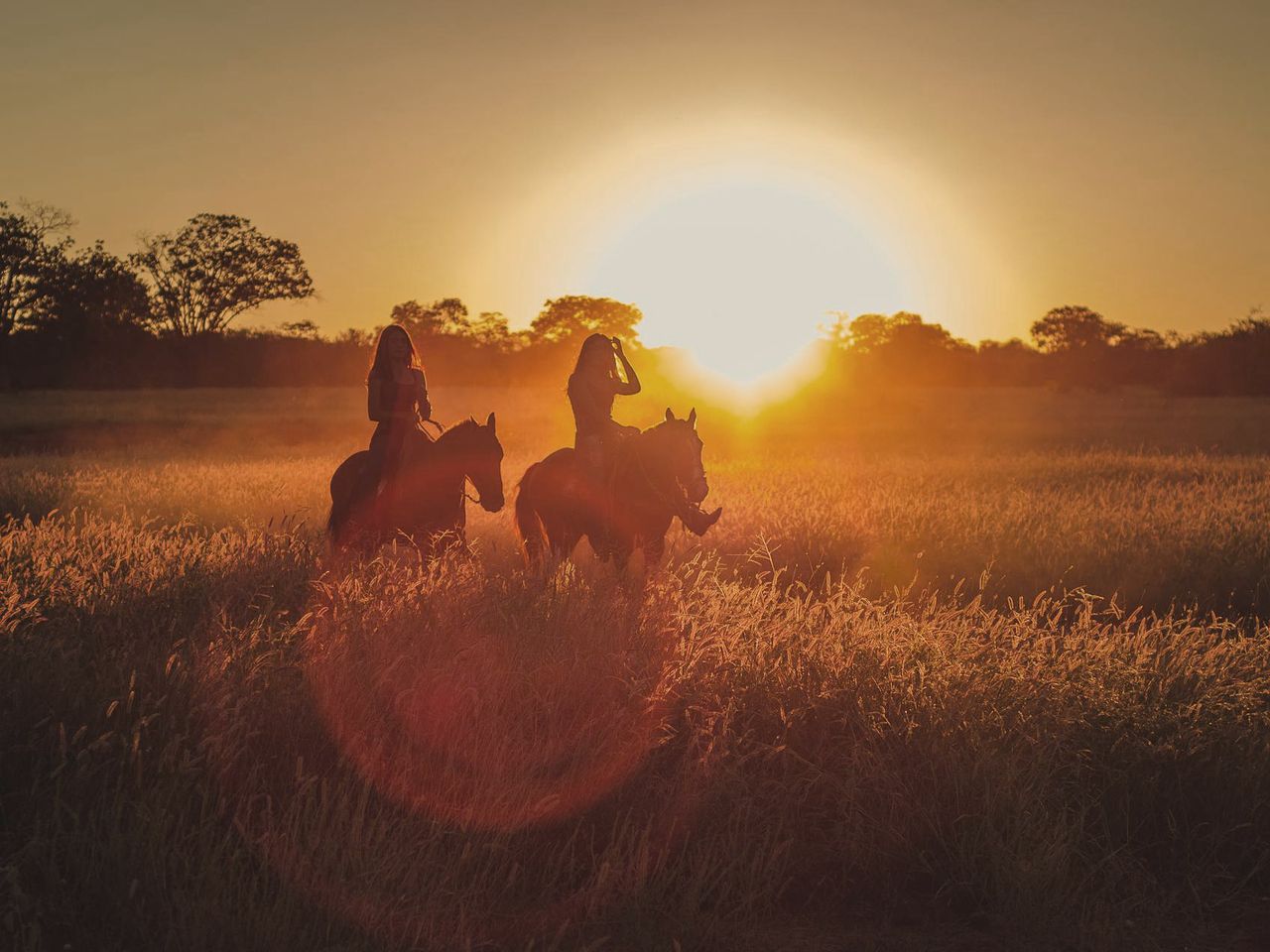 Zwei Reiterinnen auf einem Weizenfeld