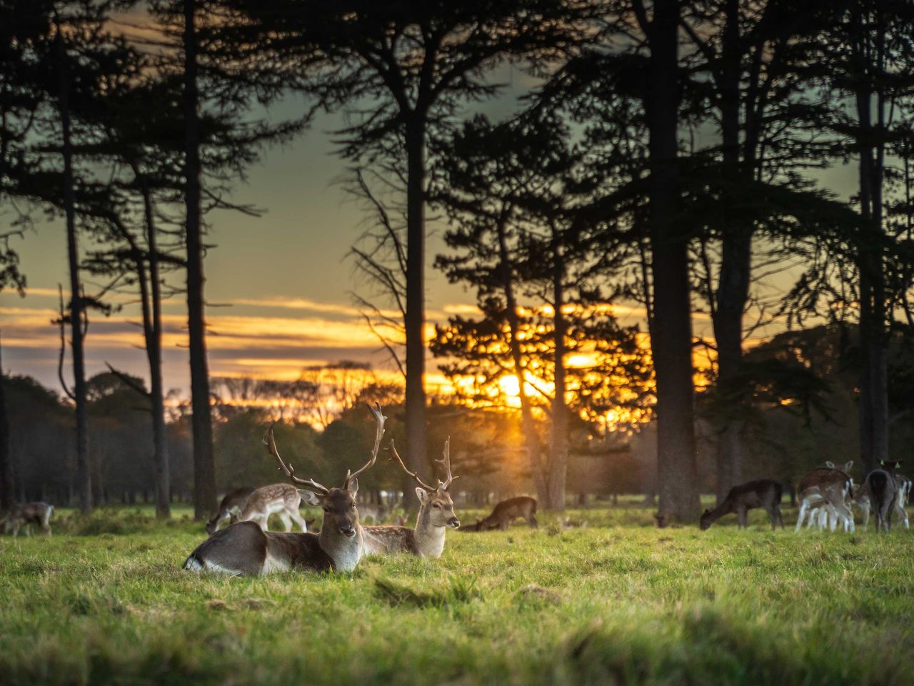 Menschen essen Fish & Chips am Howth Pier