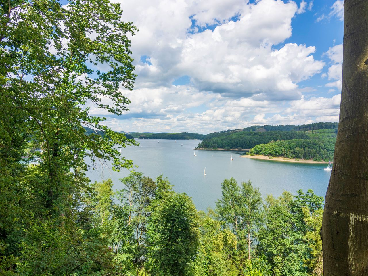 Blick auf den Biggesee im Sauerland
