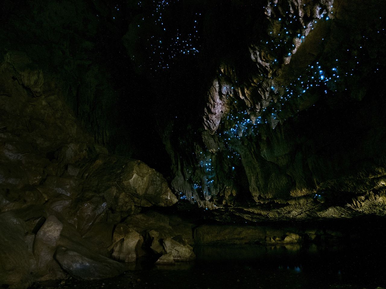 Waitomo Glowworm Caves in Neuseeland