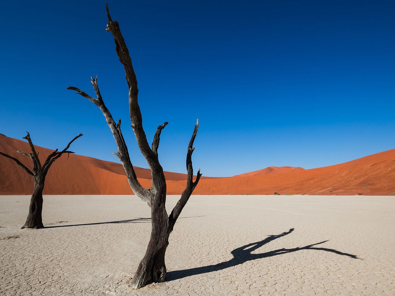 Deadvlei - Krüger Nationalpark