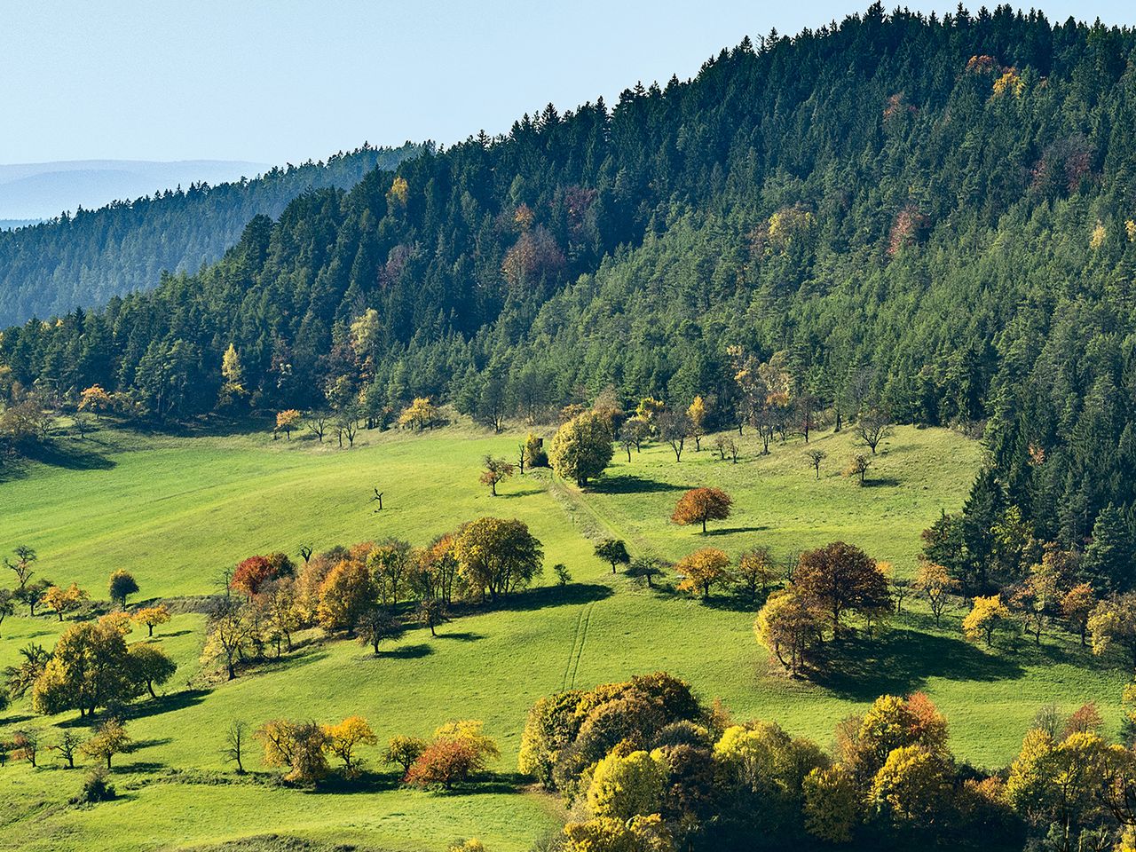 Landstrich um Weimar im Herbst