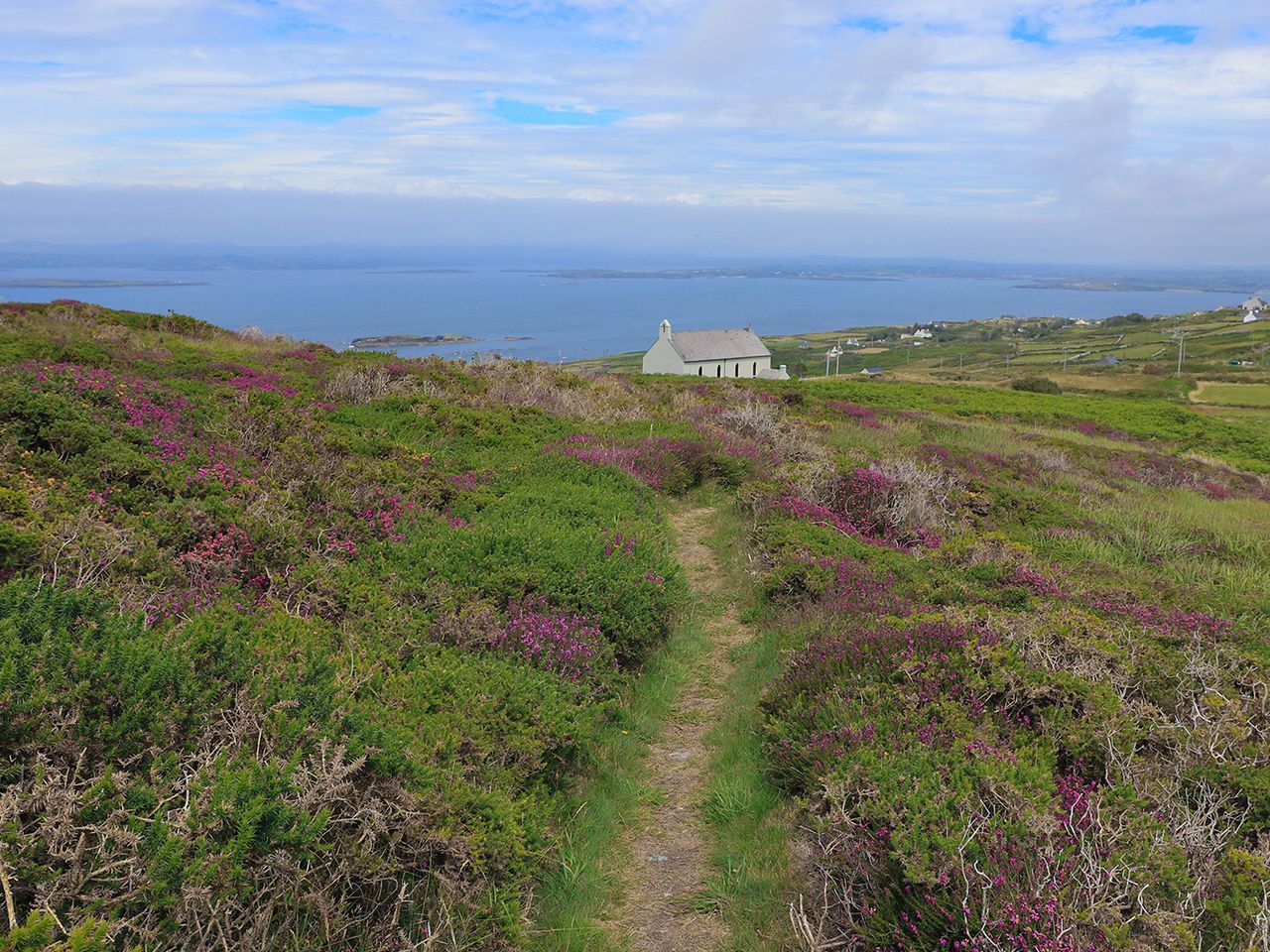 Weite Heidelandschaft auf der irischen Insel Cape Clear