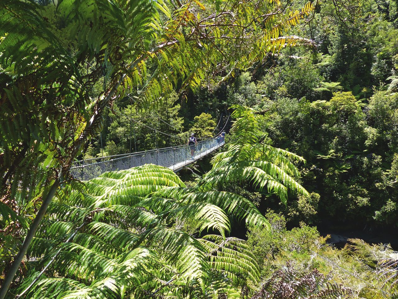 Abel-Tasman-Nationalpark