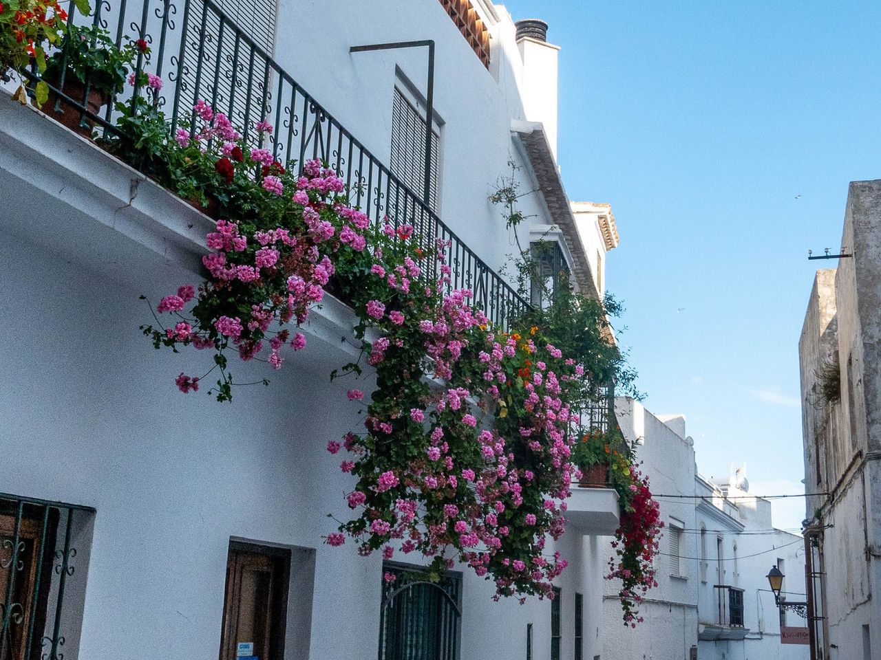 Andalusien, Vejer de la Frontera, blühender Balkon