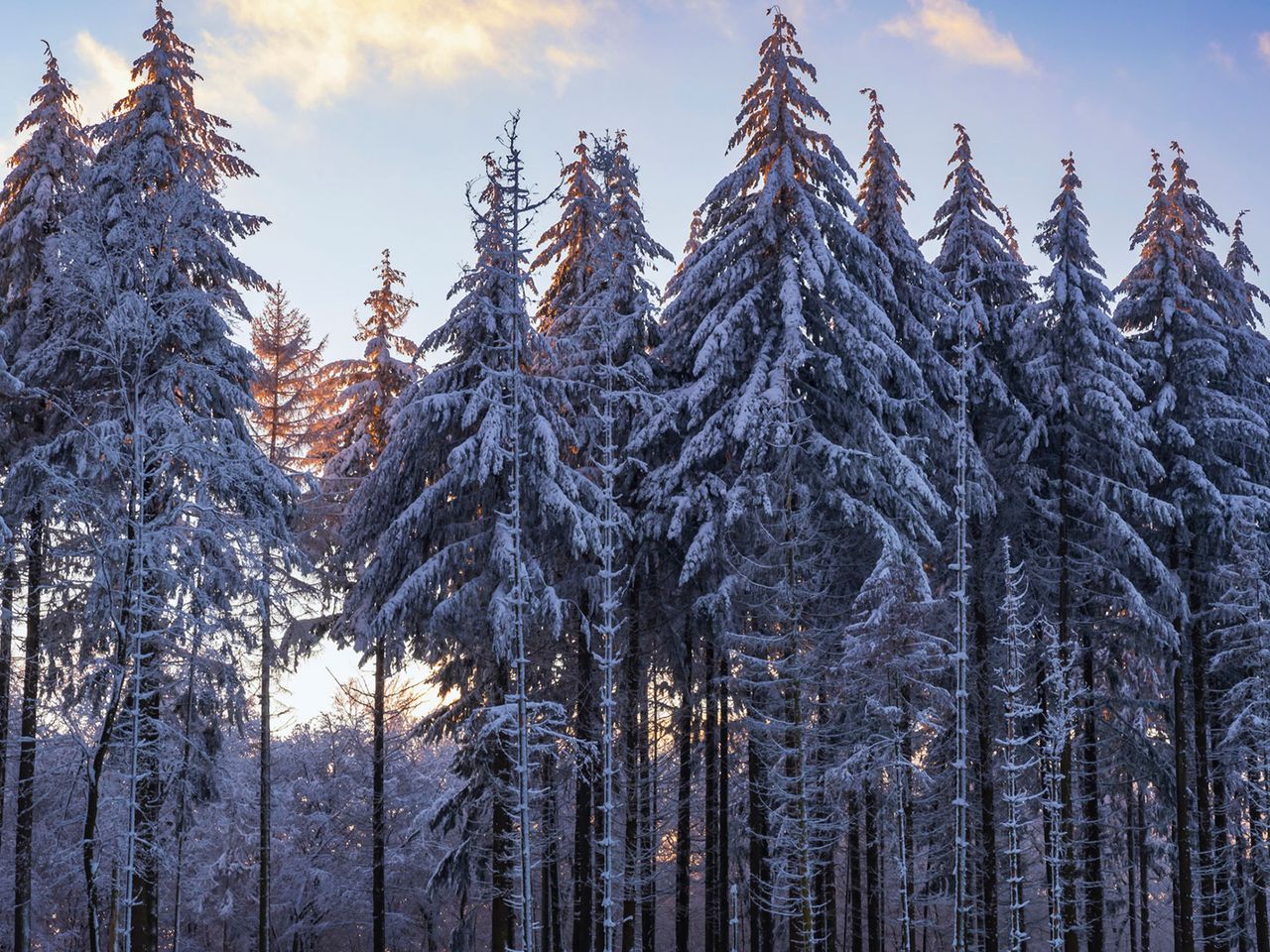 Winter in Hessen, Taunus
