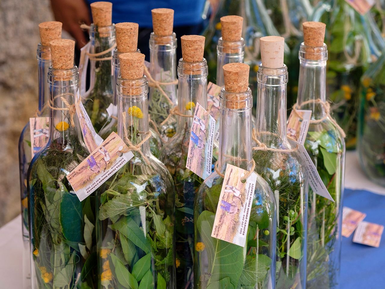 Kräuterlikör, Herbes de Mallorca