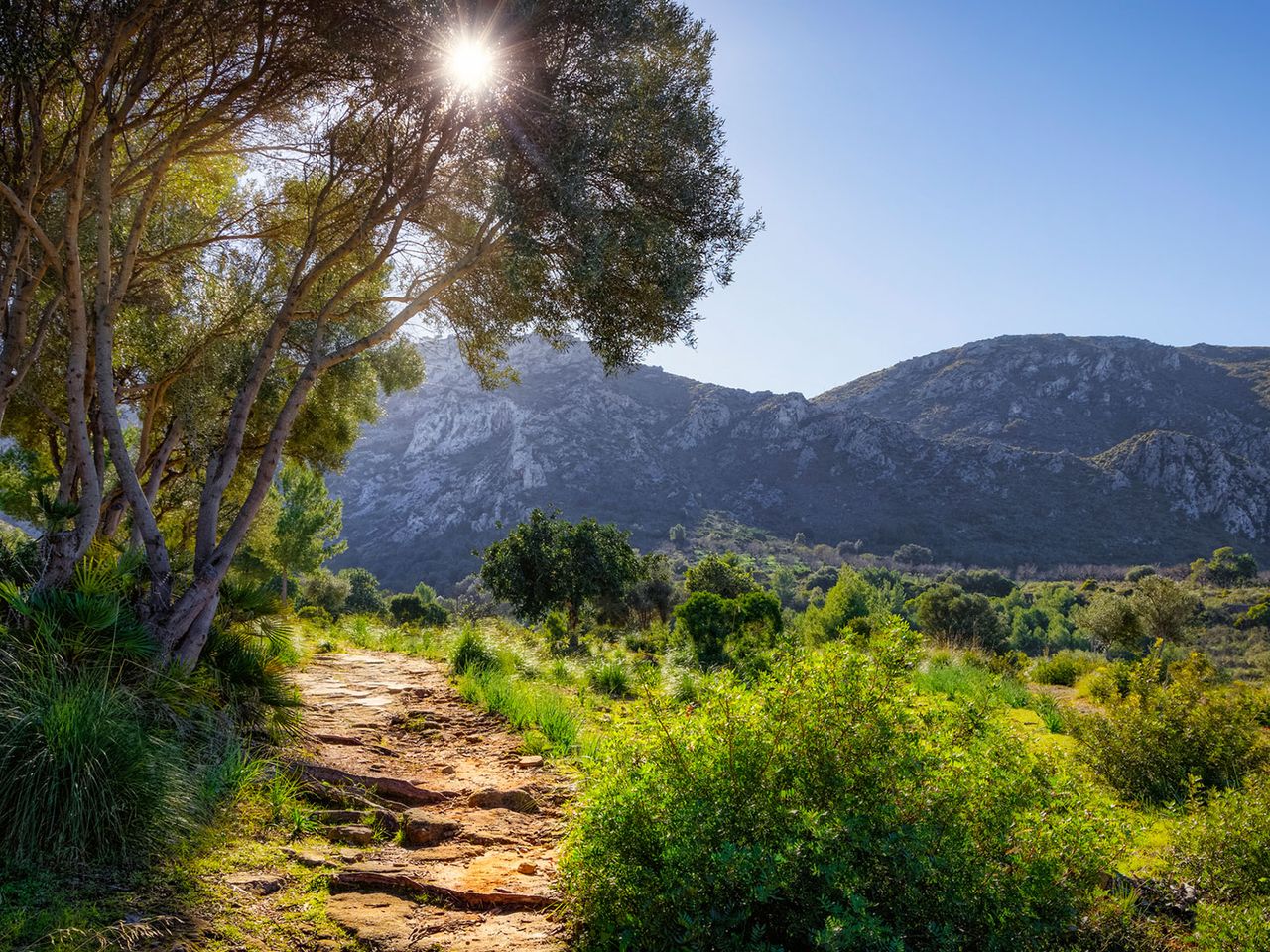 Wanderweg im Naturpark Serres de Llevant