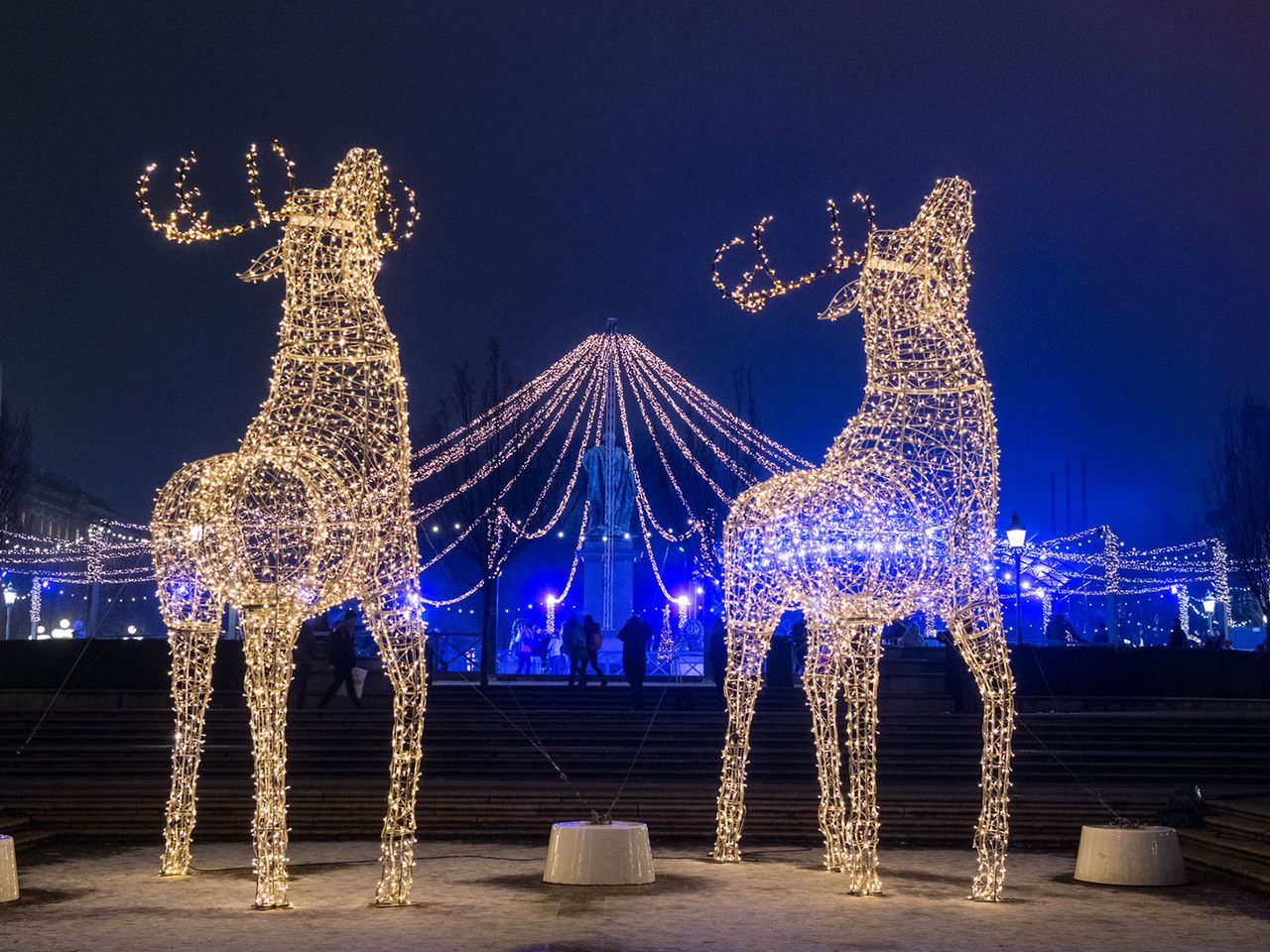 beleuchtete Elchfiguren in Stockholm zur Weihnachtszeit