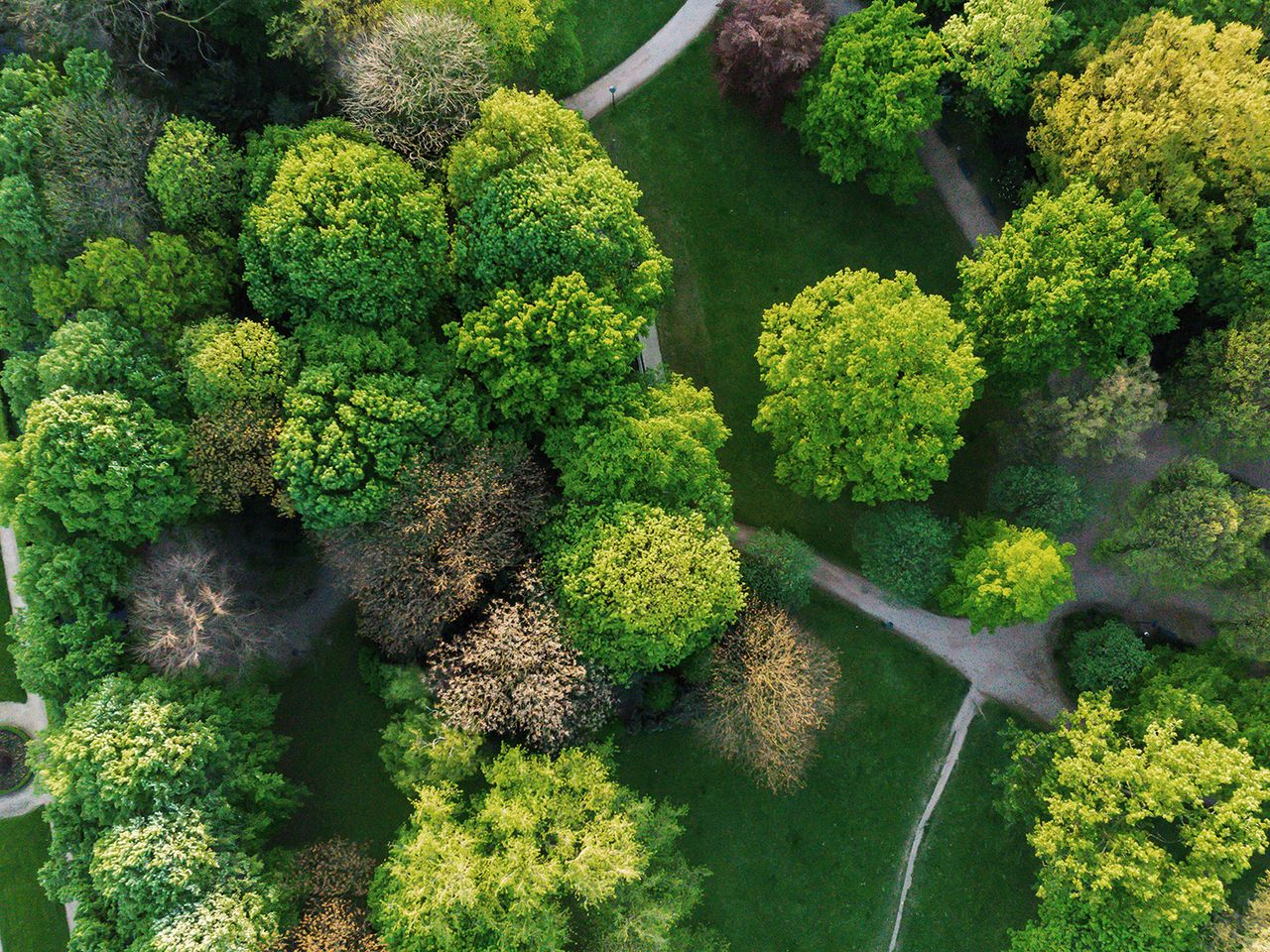 Luftaufnahme vom Hofgarten in Düsseldorf