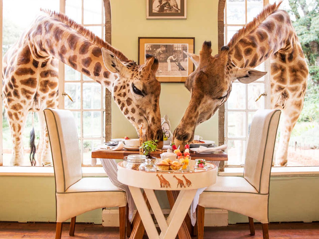 Giraffe Manor, Nairobi