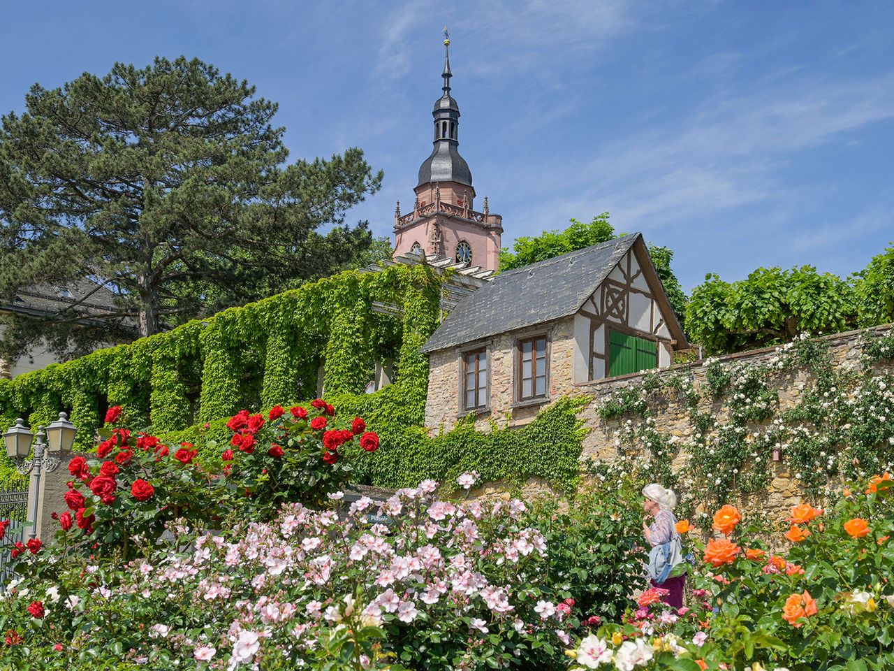 Rosengarten- in Etville