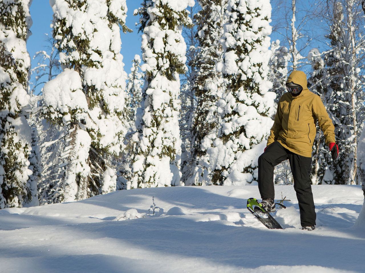 Schneeschuhwandern in Kuusamo, Finnland