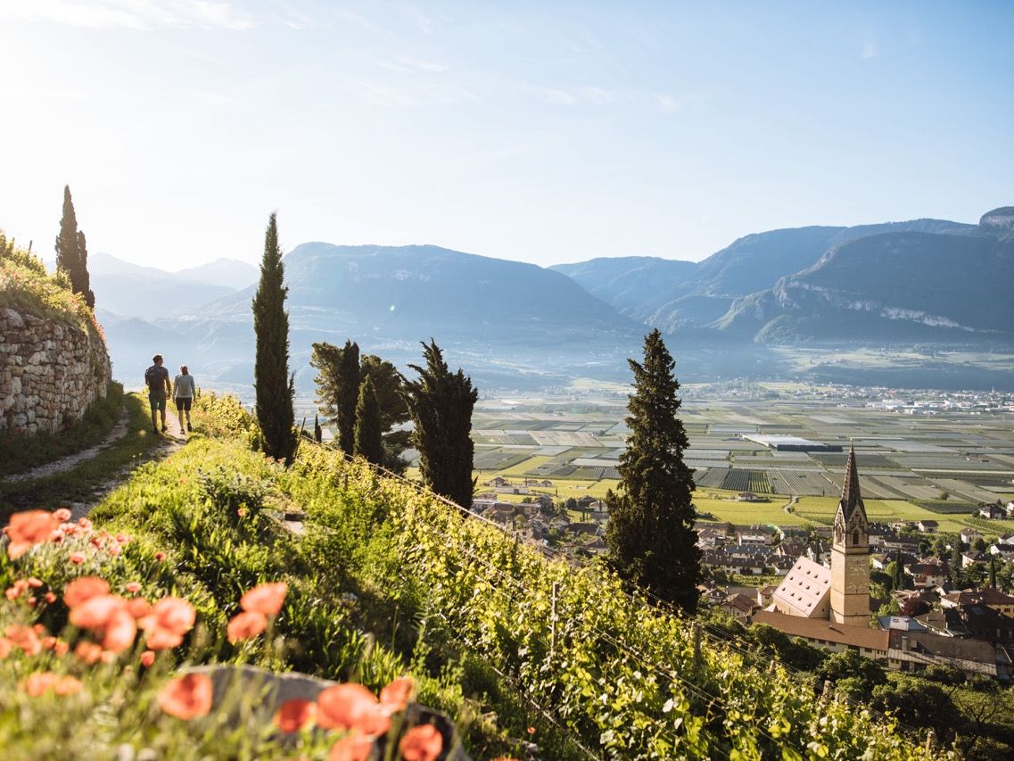 Tramin (c) IDM Südtirol_Benjamin Pfitscher (1))