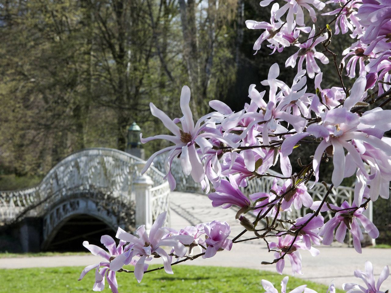 Lichtentaler Allee in Baden-Baden, 