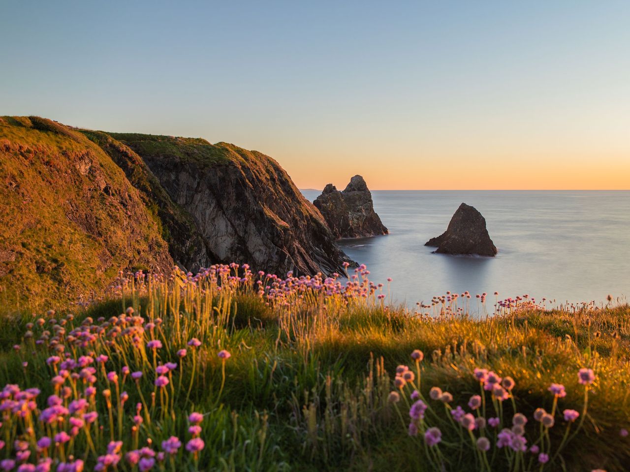 Natur in Pembrokeshire, Wales