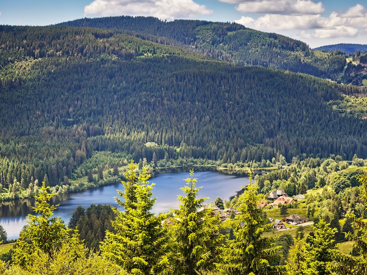 Blick von oben auf den Schluchsee, Schwarzwald