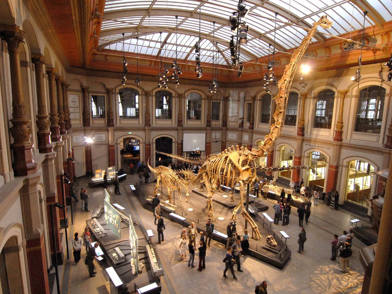 Dinosaurierskelett im Museum für Naturkunde, Berlin