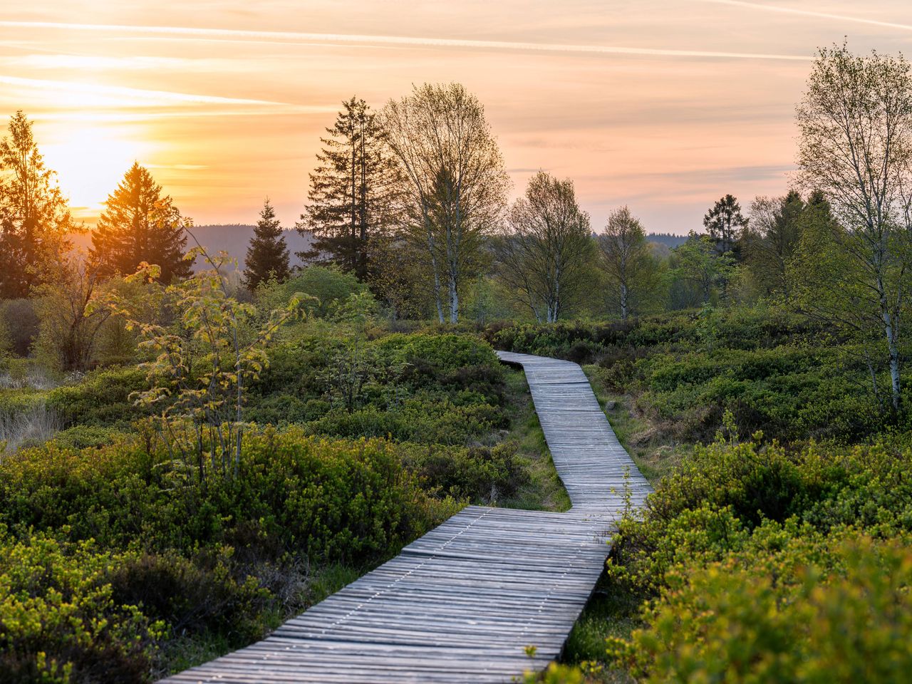 Naturpark Hohes Venn in Belgien