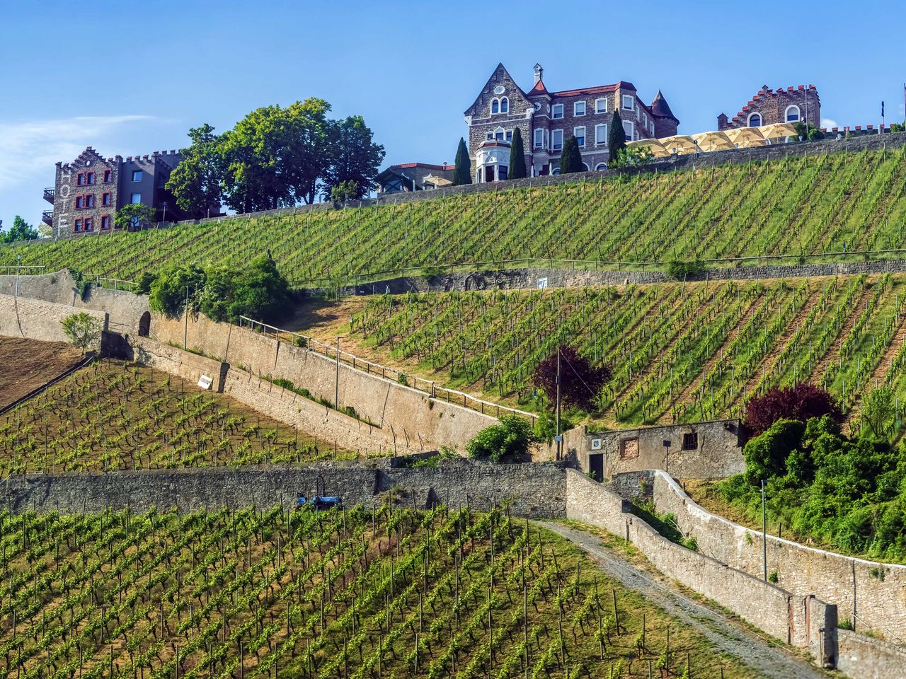 W&uuml;rzburger Stein