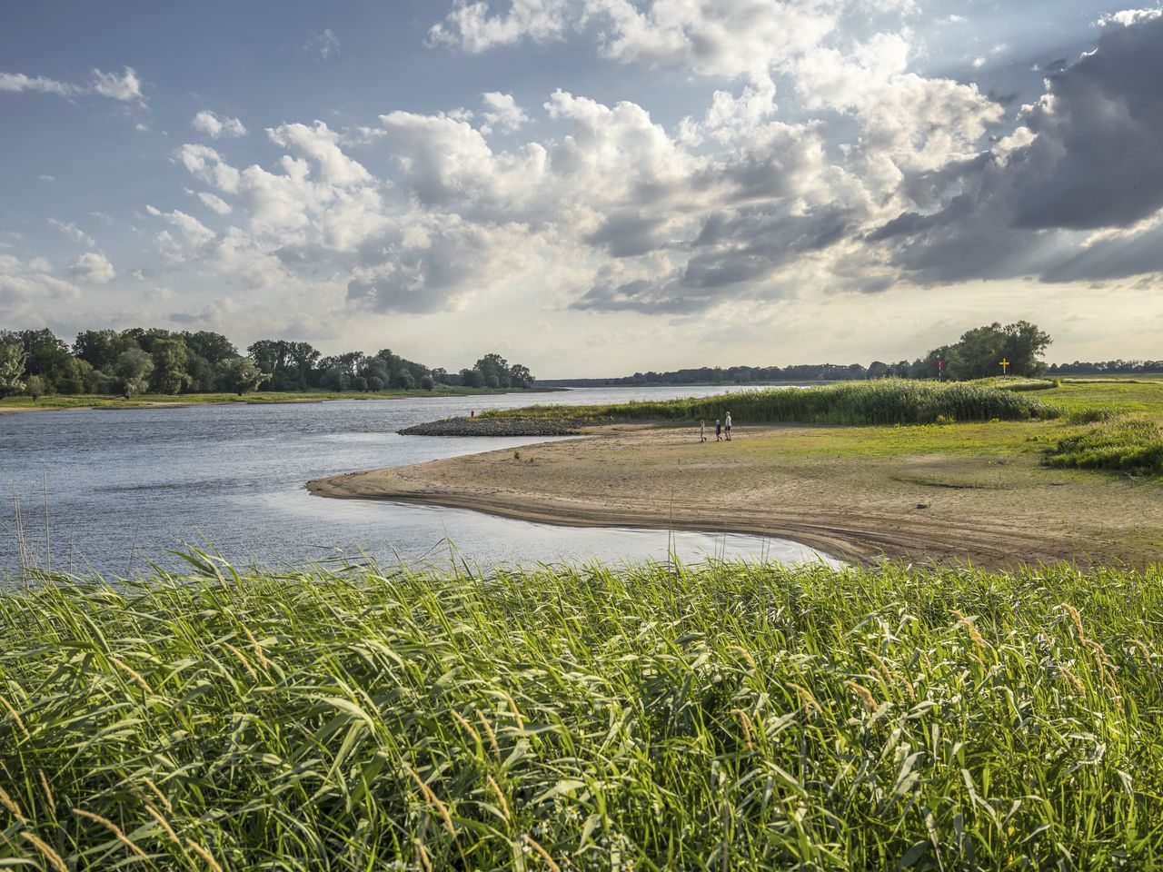 Die Elbtalaue in der Prignitz