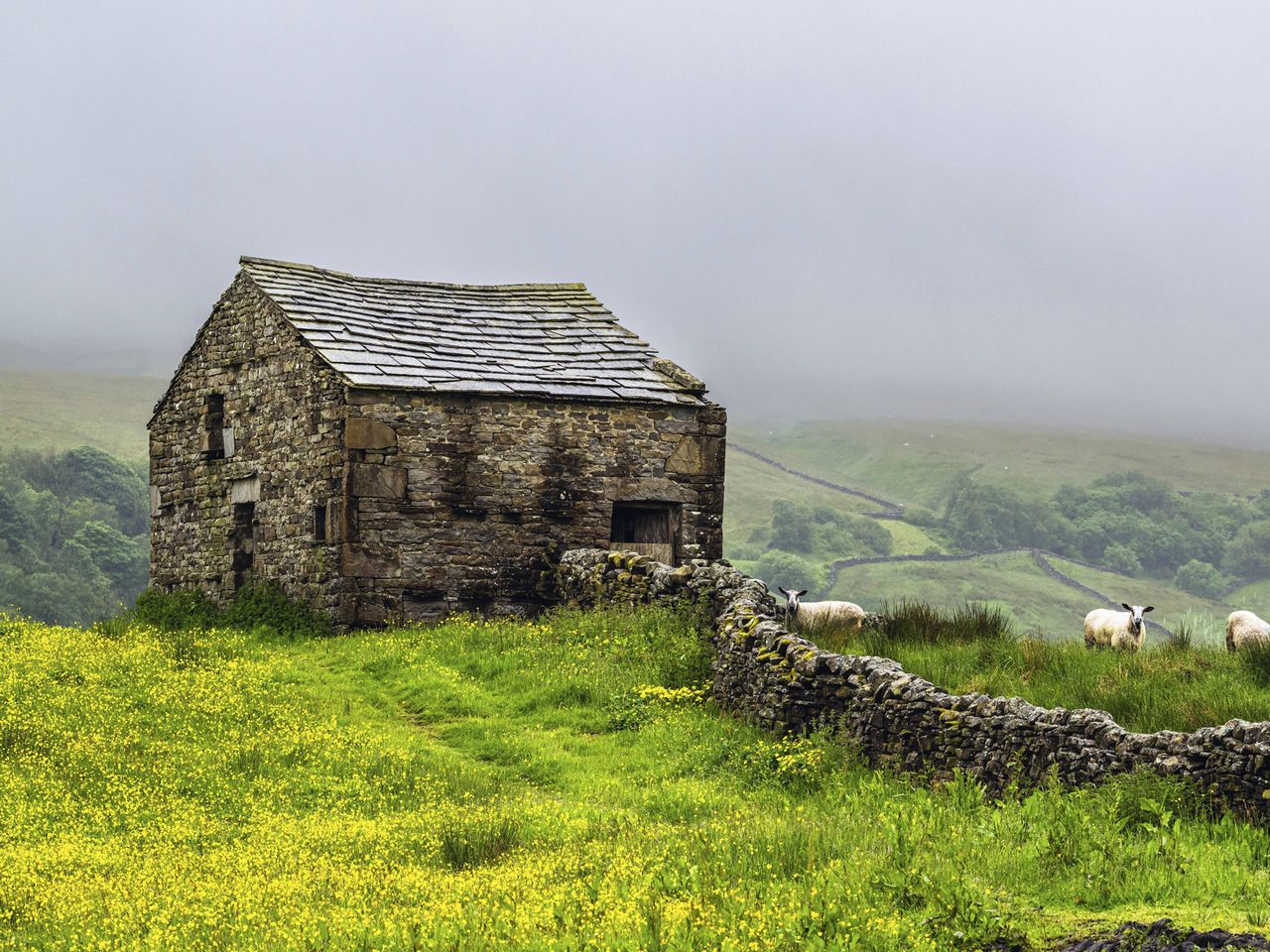 Landschaft von Yorkshire Dales, Nordengland