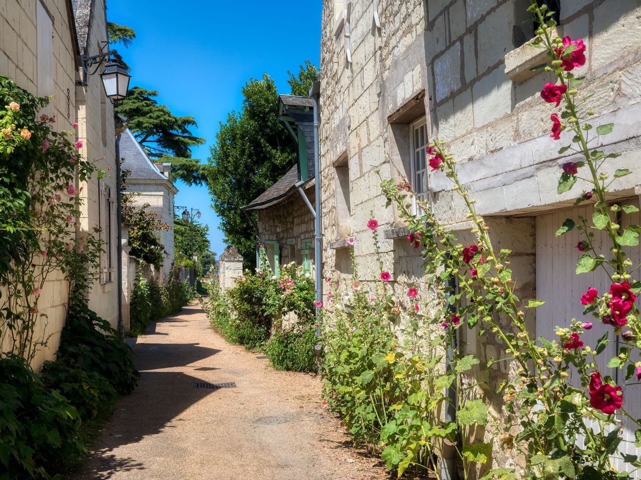 Candes-Saint-Martin in Frankreich